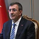 Cumhurbaşkanı Yardımcısı Yılmaz'dan "ağaçlandırma seferberliği" çağrısı