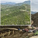 Dalaman’da 6 yıl önce dikilen fidanlar ormana dönüştü