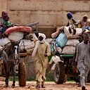 الهجرة الدولية: نزوح 1625 شخصا بولاية جنوب كردفان السودانية