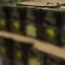 Denizli’de binlerce litre kaçak yağ ele geçirildi