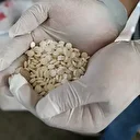 بعملية سورية عراقية.. إحباط تهريب 57 كلغ مخدرات