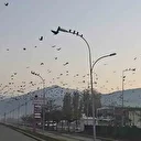 Tatvan sahilinde gökyüzünde sıra dışı manzara