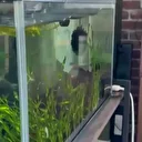 Japonya’da 6.7 büyüklüğünde deprem: Tsunami uyarısı yapıldı