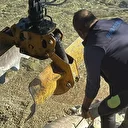 Bodrum'da ölü caretta caretta kıyıya vurdu