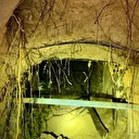 Belarus’ta 180 kaçak göçmen kazdıkları tünelle Polonya’ya geçti