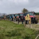 France: Abattage de vaches et colère agricole en Ariège