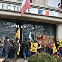 France : l'Occitanie débloque 300 000 € d’aide d’urgence face à la crise de dermatose nodulaire contagieuse