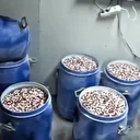 İstanbul ve İzmir'deki operasyonlarda yaklaşık 7 milyon uyuşturucu hap ele geçirildi