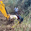 Hatay'da dereye düşen inek itfaiye ekipleri tarafından kurtarıldı