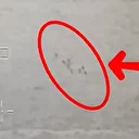 Ağrı Dağı kırsalında 11 düzensiz göçmen ve 3 göçmen kaçakçısı yakalandı