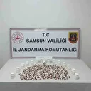 Samsun’da jandarmadan 2 ayrı uyuşturucu operasyonu