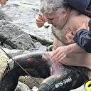 Zıpkınla balık avlamak isteyen kişi kendini yaraladı