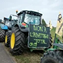 France : des agriculteurs protestent contre la politique gouvernementale de lutte contre la dermatose nodulaire