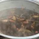 Uludağ'ın ormanlarının bereketi kazana girdi: Şifa kaynağı çam kozalağı pekmezi bölge ekonomisine katkı sağlıyor