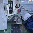 Un tanker russe attaqué en mer Noire : troisième incident en cinq jours sur des navires commerciaux