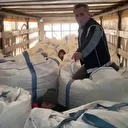 Çuvalların arasında 13 kaçak göçmen yakalandı