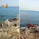 Gemiden denize düşen angus balıkçı ağına takıldı