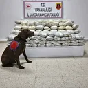 Van'da arazide 60 kilo skunk ele geçirildi