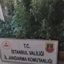 580 gündür aranan şahıs saklandığı evini 'zehir yuvası'na çevirmiş