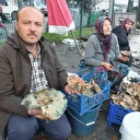 Hem lezzetli hem şifa deposu: Yağmur yağınca dağlardan fışkırdı, kilosu 100 TL'ye düştü