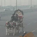 Delhi hava kirliliği ile mücadele ediyor: 3 yılda 200 binden fazla solunum yolu enfeksiyonu görüldü