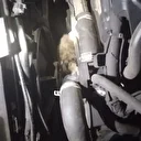 Minibüsün motoruna sıkışan kedi kurtarıldı