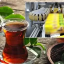 39 yıllık efsane çay markası veda etti: Rize'deki tesislerini yerli firmaya devretti