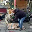 Zonguldak’ta engelleri aşan hikaye: Ön bacağı kesilen köpeğine bebek gibi bakıyor