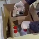 İzmir'de 2 bin 850 litre sahte etil alkol ele geçirildi