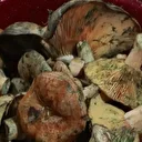 İstanbul'da bir ayda 60 kişi mantar zehirlenmesi nedeniyle hastaneye başvurdu