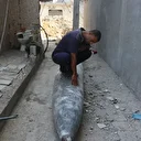 Israël viole à nouveau le cessez-le-feu à Gaza