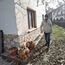 Bolu’da yediği mantardan zehirlenerek baygın halde bulunmuştu: 'Kimse mantar satın almasın'