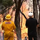 Avustralya’da orman yangınları: 16 ev küle döndü