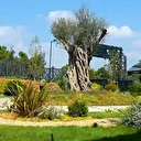 Ümraniye’de Trabzonpark Millet Bahçesi hizmete açıldı