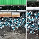 İSBİKE'de skandal: İstanbulluların parası hurda edildi