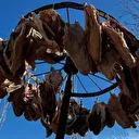 Talep patladı! 10 gün sonra yollara düşecek: Köylü yetişemiyor, ilk İstanbul’a gidecek