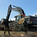 Hiçbir canlıya saygıları yok: İsrail Nablus’ta yüzlerce zeytin ağacını kökünden söktü