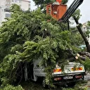 Mersin'de rüzgarın etkisiyle devrilen ağaç seyir halindeki 3 araca zarar verdi