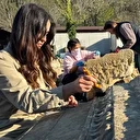 Antik kentte Medusa'nın ender görülen gülümseyen figürü bulundu: 'Gözlerine bakanı taşa çeviriyor'