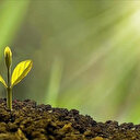 Meclise geliyor! İklim Kanunu Teklifi Maddeleri Neler? 