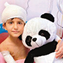 Köpek inadı hayat kararttı