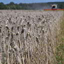 Les marchés des matières premières en ordre dispersé face aux incertitudes commerciales