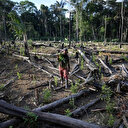 Colombie: augmentation de la déforestation, les guérillas mises en cause
