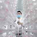 Chine: découverte d’un nouveau coronavirus de chauve-souris à risque de transmission animale-humaine