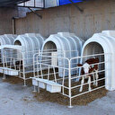 Karmod dévoile des abris améliorés pour veaux afin de renforcer leur protection