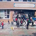 Ümraniye'de bir köpek okul bahçesinde 5 öğrenci ve 1 öğretmeni yaraladı: Sahibi gözaltına alındı