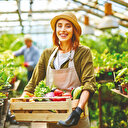 Girişimci tarımsal üretime yöneldi