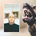 İBB ve Silivri’ye 20 bin TL başıboş köpek tazminatı