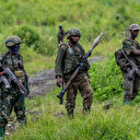 Le G7 condamne l'offensive du M23 dans l'est du Congo et appelle à une protection urgente des civils