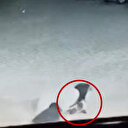 Diyarbakır'da sahipsiz köpek anne ve çocuğuna saldırdı: Çaresiz kadın canını kurtarmak için köpekle mücadele etti